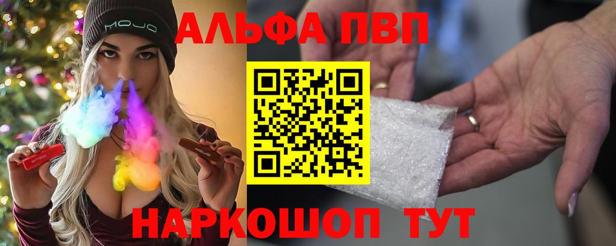 A PVP СК КРИС Новозыбков