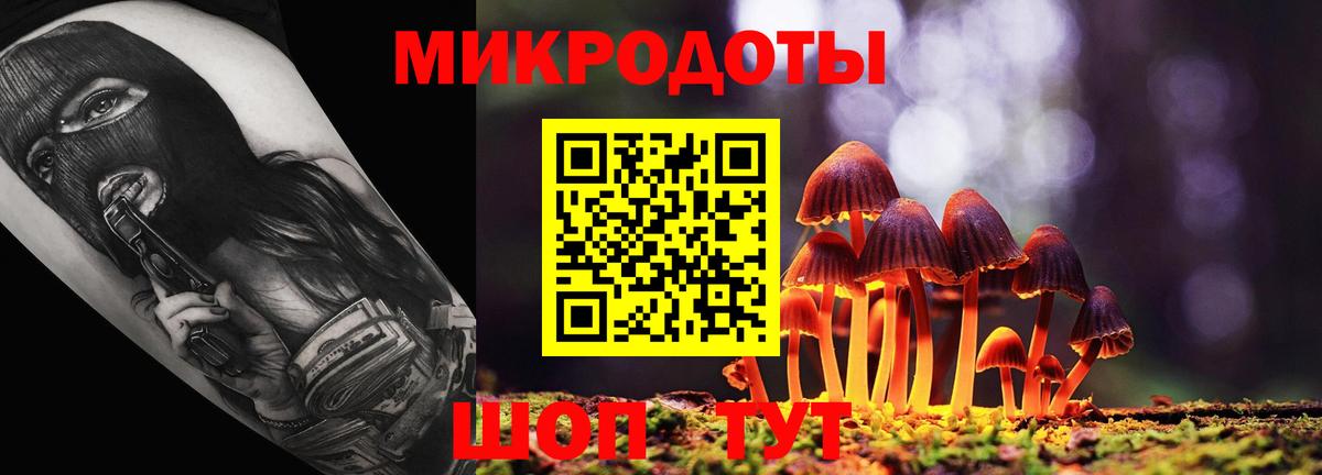 Галлюциногенные грибы GOLDEN TEACHER Новозыбков