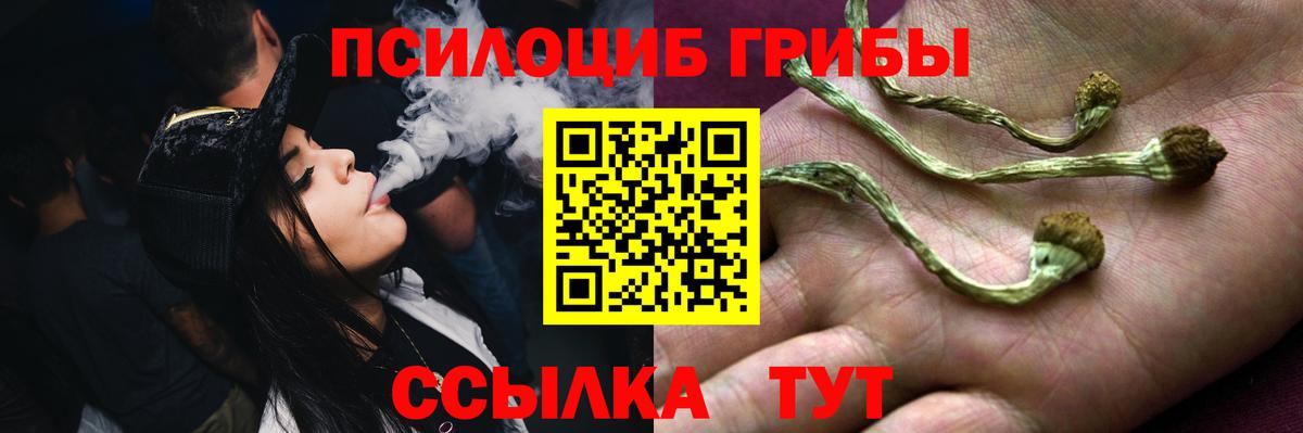 Галлюциногенные грибы Cubensis  Вход с VPN  Псилоцибиновые грибы Psilocybine cubensis  Новозыбков 